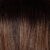 Balayage-Beauty-Ombre-Cinnamon